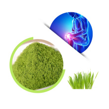 High Purity Pure Barley Grass Powder